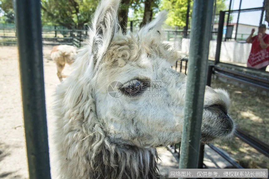 Llama模型实战入门：从零部署到应用开发_https://ai.lansai.wang_AI教程_第4张