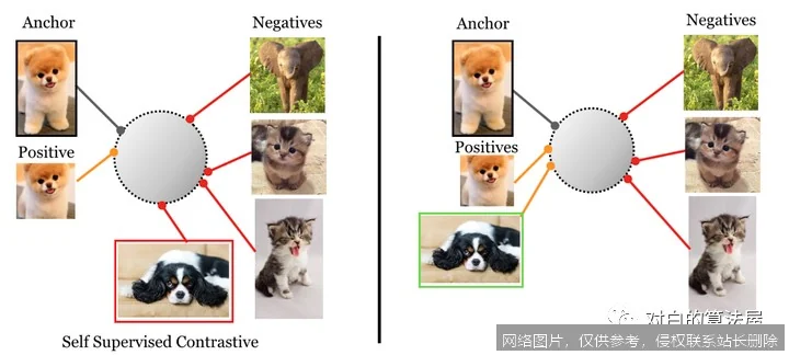 【AI词典】对比学习 - 通过对比样本学习表征的自监督方法_https://ai.lansai.wang_AI词典_第3张