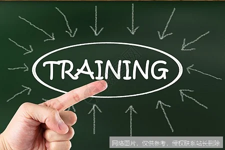 【AI词典】训练 - 通过数据优化模型参数的过程_https://ai.lansai.wang_AI词典_第1张