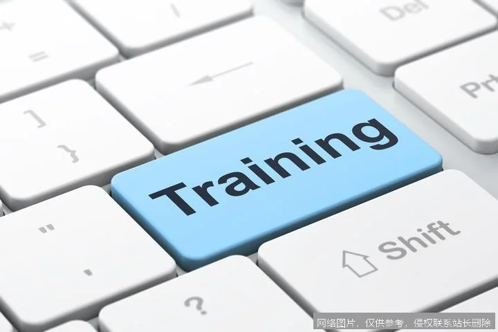 【AI词典】训练 - 通过数据优化模型参数的过程_https://ai.lansai.wang_AI词典_第2张