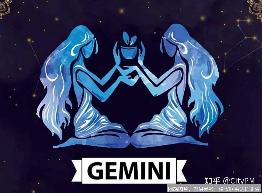 Gemini官网 - 谷歌AI双子星，探索智能未来_https://ai.lansai.wang_AI导航_第3张