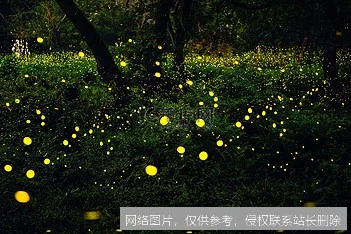 Firefly 最新全面解读:2026 图像 4 模型与多模态创作新革命_AI百宝箱_第1张_AI问答站 Firefly 最新全面解读:2026 图像 4 模型与多模态创作新革命_https://ai.lansai.wang_AI百宝箱_第1张