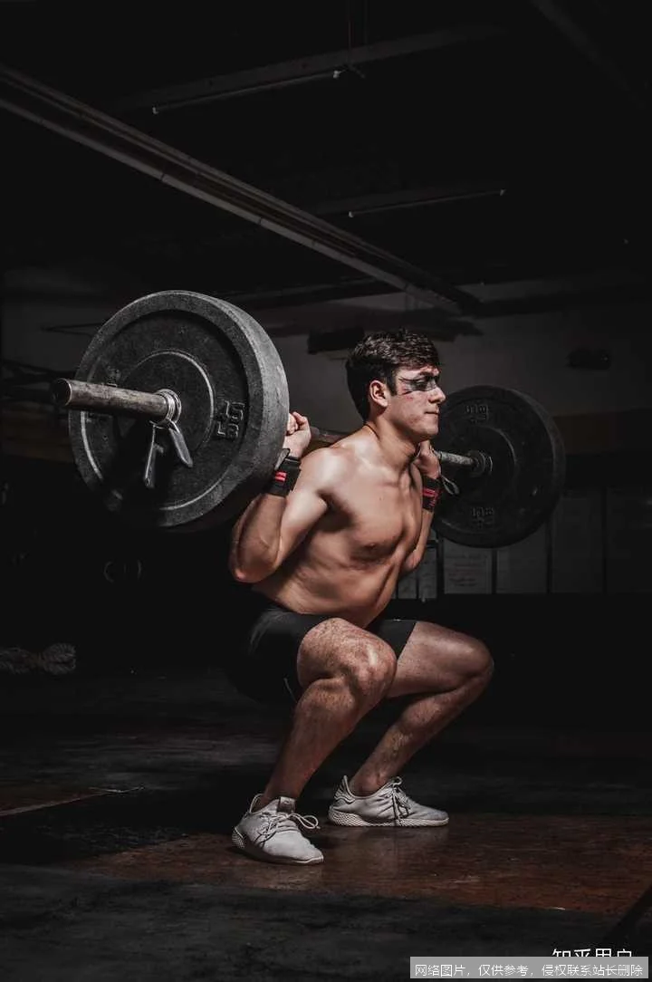 训练是什么：从基础原理到 2026 年前沿应用全面解析_https://ai.lansai.wang_AI词典_第1张