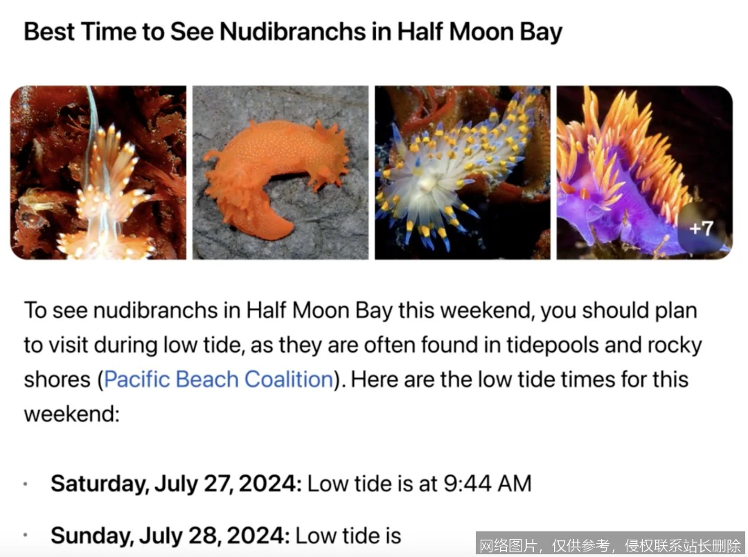 SearchGPT 2026 深度体验：实时全网搜索与多模态交互的全面进化_https://ai.lansai.wang_AI百宝箱_第2张