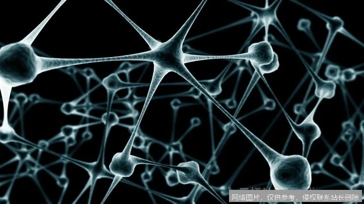 神经网络是什么：2026 原理、演进与前沿应用全面解析_https://ai.lansai.wang_AI词典_第2张